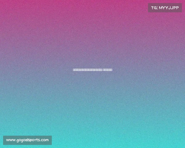 石宇奇力克强敌挺进羽毛球世锦赛男单决赛 追求历史荣光