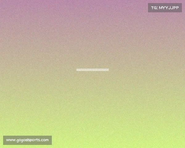 法甲球迷激情应援:为爱而战的力量与情感传递