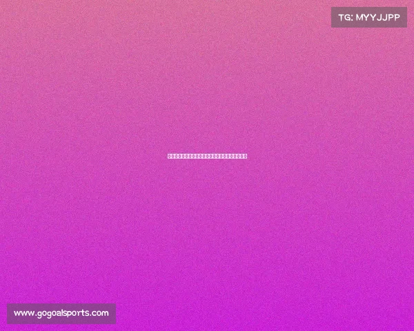 法甲球迷文化探析与球场氛围演变的历史与未来趋势